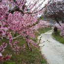 유정농원 이미지