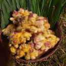 오산농장 이미지