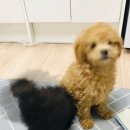 포토라이브 이미지