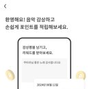 플램