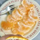 과일맛집| 설국향(수라향)이라 불리는 제철과일🍊 “감성농부” 먹어본 후기, 제주 애견동반가능과일맛집