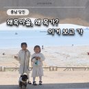 지에스25당진왜목마을점 | 당진 왜목마을 해루질 물때 주차 준비물 총정리