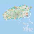 클래식(서쪽) | 제주 동쪽 표선 해비치 호텔 | 가족 숙소 추천, 클래식 스위트 오션뷰 솔직 후기