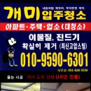 개미청소 Daum카페