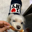 영인광고기획