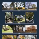 안동사진동호회 제43회 사진전 | 신들의 거처 서낭당(안동사진동호회 창립 40주년 기념 제43회 사진전)