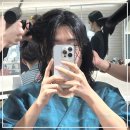 그로우펫 | 에이그로우에서 받은 염색, 신논현 미용실 중에서도 완전 만족스러웠어요!