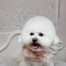 사림동253 이미지