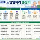 동구행복한어르신복지관 | 대전 동구 노인일자리 총정리｜신청방법·일자리 유형·수행기관 안내
