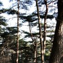 다솔사 - 1892 | 다솔사