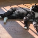 대근환경 이미지