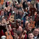 우쿨렐레 이미지