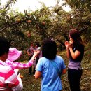 양명초교 이미지