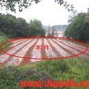 옥기농장 이미지