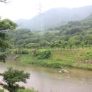 거북가든 이미지