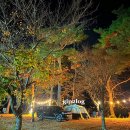 돌배야영장(제2야영장) 이미지