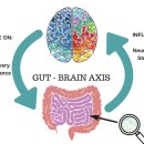 스펙트럼 이미지