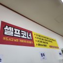황금오리 이미지