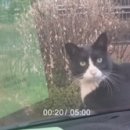 방화12(아) 이미지