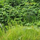 신현로12번길 이미지