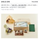 온블리살롱 | 반려동물 장례식장 펫포레스트 김포점 사랑하는 나의 루디를 보냈다