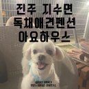 이마트 진주점 | 경남애견펜션 진주애견펜션 아요하우스 내돈내산 방문후기