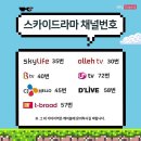 위 플레이 이미지