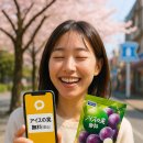 노미