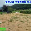 장산농장 이미지
