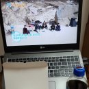 참대나무숯불바베큐 이미지
