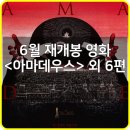 호국의 달에 찾아온 6월 재개봉 영화는! (‘아마데우스’ 외 6편)