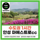 부영노래방연습장 | 수도권 1시간, 국내 단체골프 최적지! 안성 마에스트로cc 리얼 후기