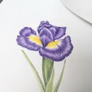 보테니컬 이미지