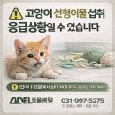 아델동물병원 이미지