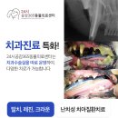 진접동물병원 이미지