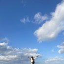 함비자 게스트하우스 이미지