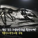 디모르 | 경남 진주 가볼 만한 곳을 찾는다면? 익룡발자국전시관 추천