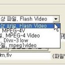 SWF파일을 AVI파일로 변환 이미지