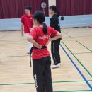 스타태권도스쿨 이미지