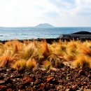 서부해안로 이미지