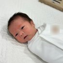 D+12💛 순천 더 마더힐 산후조리원 6일차 후기/결혼기념일 1주년