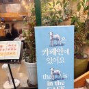 헌가 | 홍대 이색 카페 -양카페 땡스네이처 후기