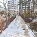 새마을부동산중개사사무소 이미지