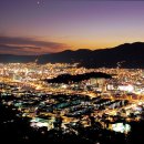 바다생각 이미지