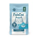 착한 고양이 이미지