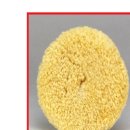 에스제이 이미지