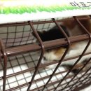 공덕초교 이미지