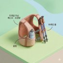 코스텍션