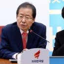 불어라 동남풍 이미지