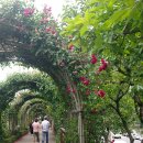 상계근린공원(육교) 이미지